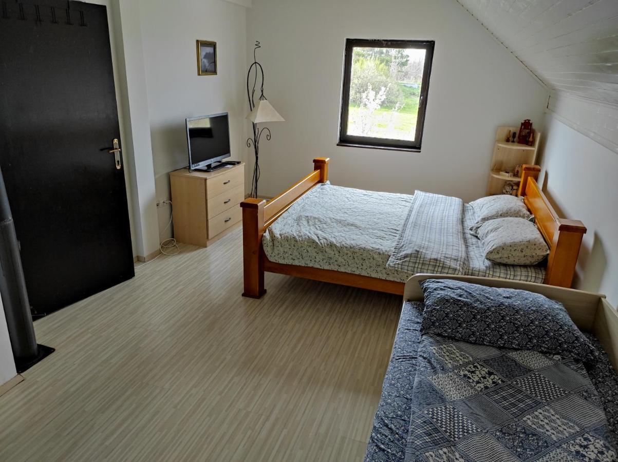 Vila Hajdi Planina Tara Bajina Basta Εξωτερικό φωτογραφία