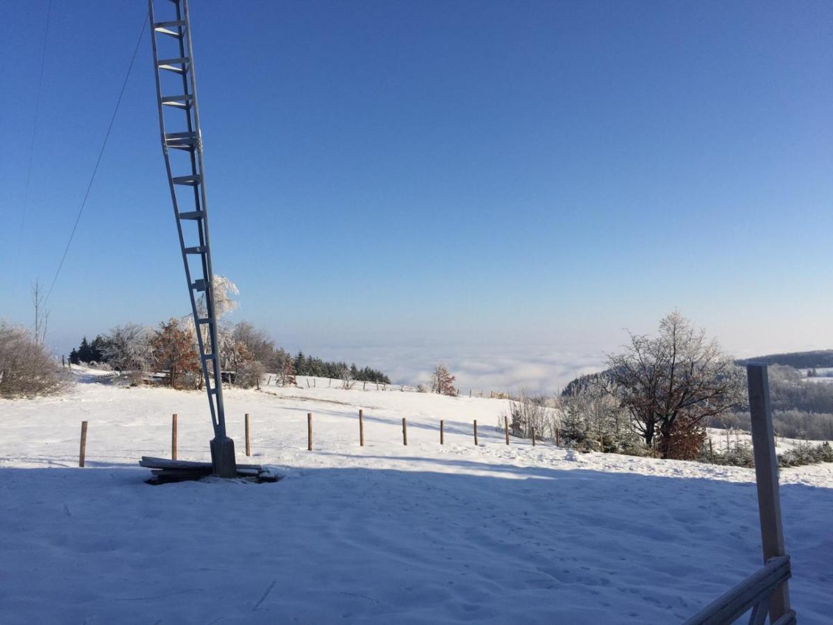 Vila Hajdi Planina Tara Bajina Basta Εξωτερικό φωτογραφία